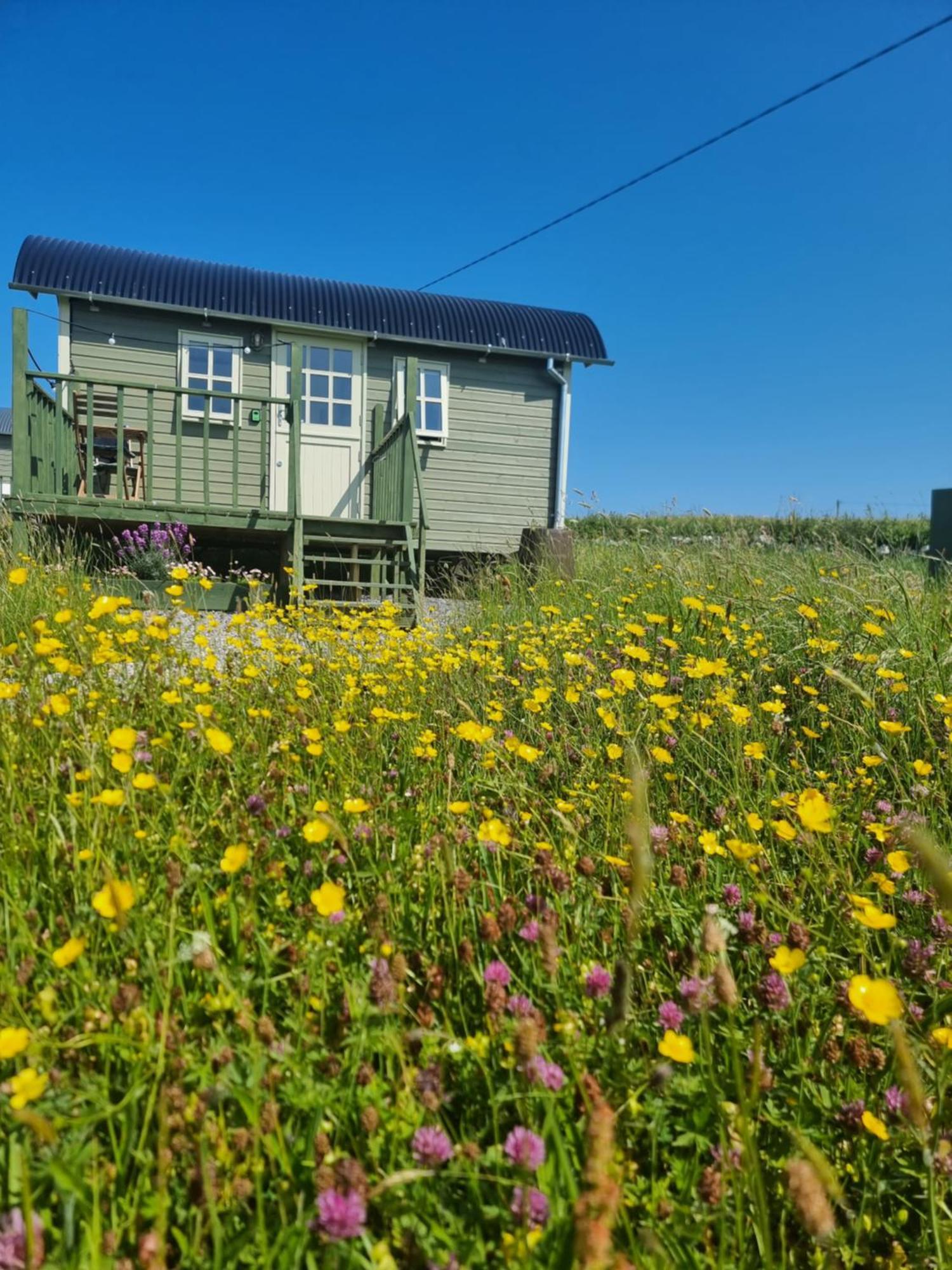 Wild Meadow Huts Villa Doolin Kültér fotó